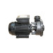category Waterway | Executive Euro Pump 3 HP, Dual Speed 150822-00